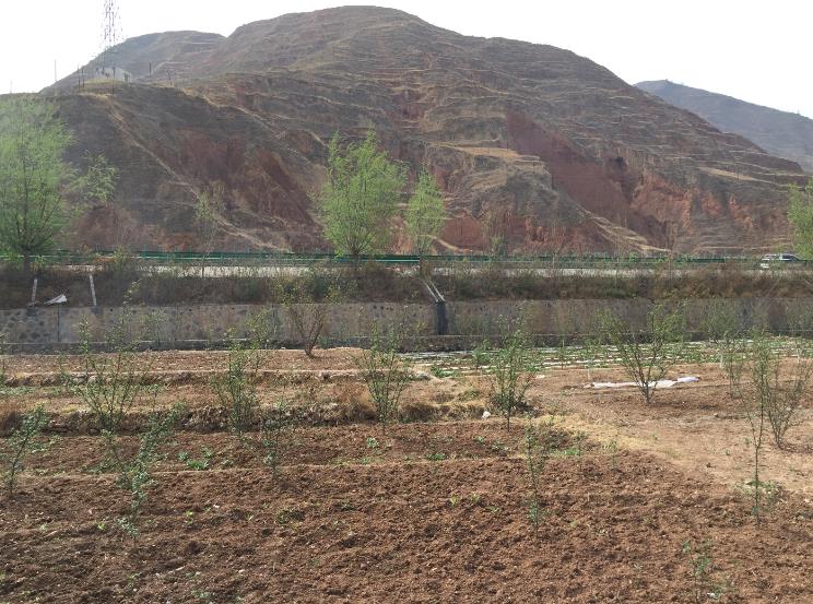 1586846459516596.jpg 1586846459516596.jpg